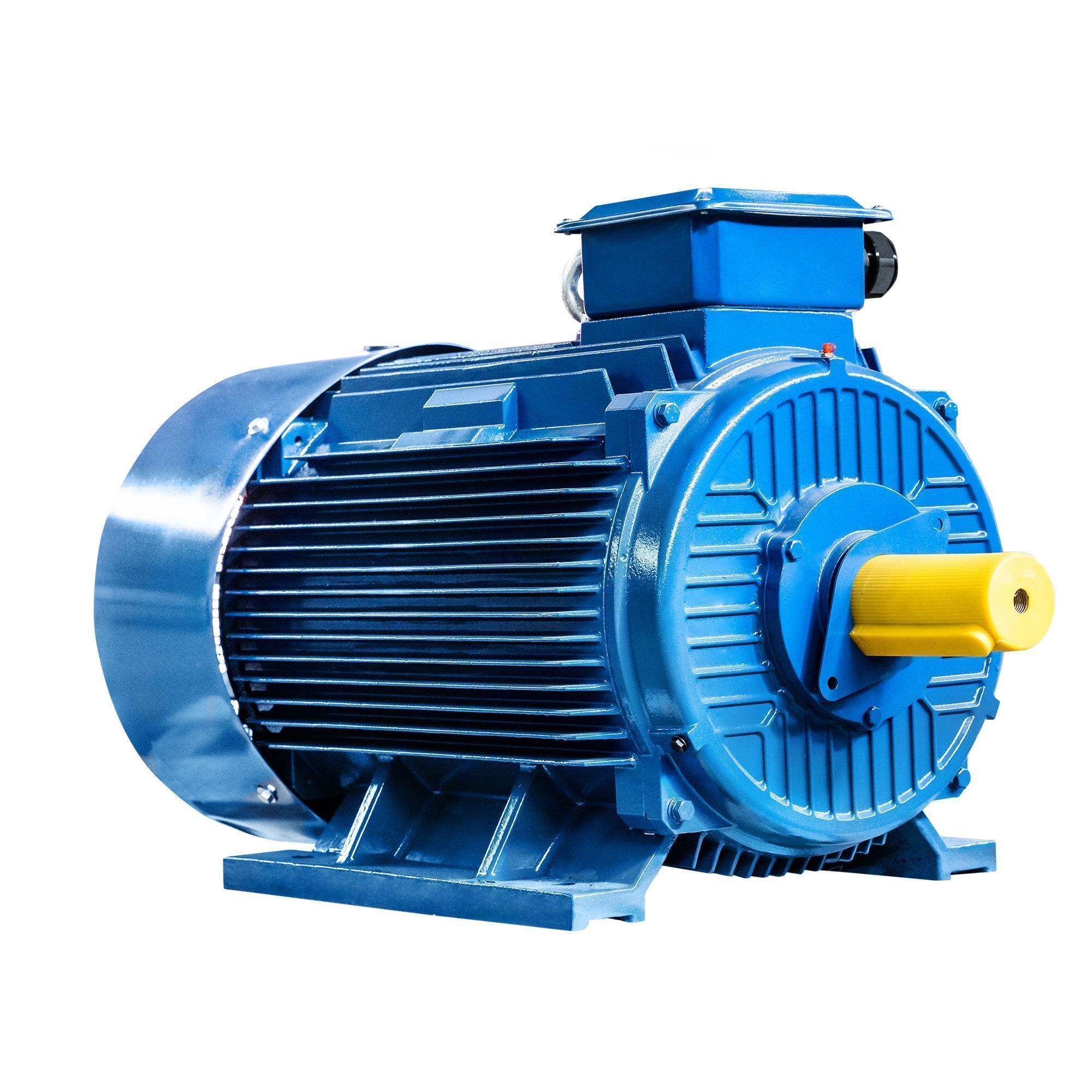 Электродвигатель 5АИ 315 М6 132/1000 IM1001